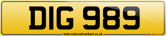 DIG 989