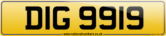 DIG 9919