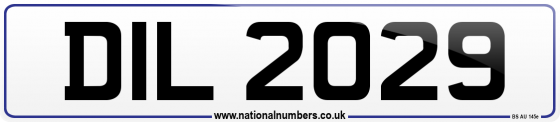 DIL 2029