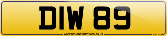 DIW 89