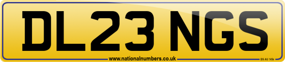 DL23 NGS