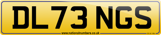 DL73 NGS