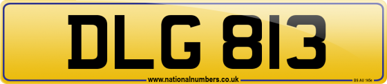 DLG 813