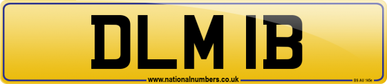 DLM 1B