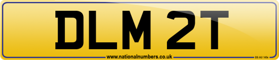 DLM 2T