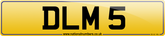DLM 5