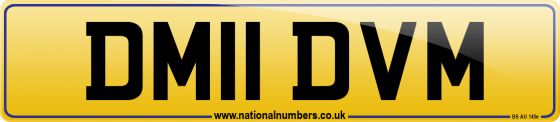 DM11 DVM