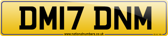 DM17 DNM
