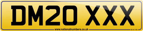 DM20 XXX