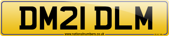 DM21 DLM