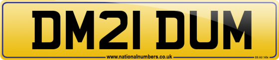 DM21 DUM