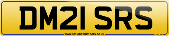 DM21 SRS