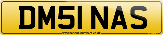DM51 NAS
