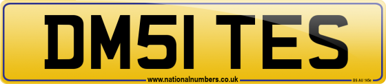 DM51 TES