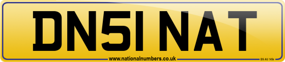 DN51 NAT