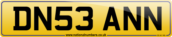 DN53 ANN