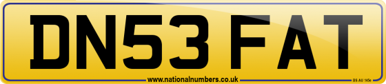 DN53 FAT