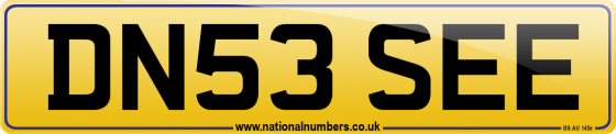 DN53 SEE