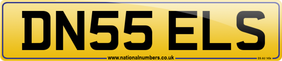 DN55 ELS