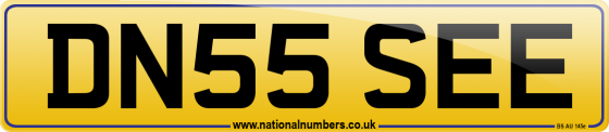 DN55 SEE