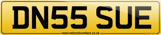 DN55 SUE