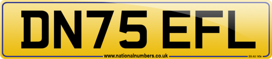 DN75 EFL