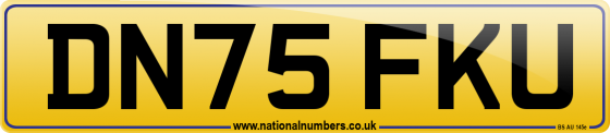 DN75 FKU
