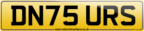DN75 URS