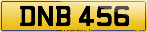 DNB 456