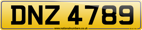 DNZ 4789