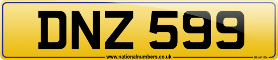 DNZ 599