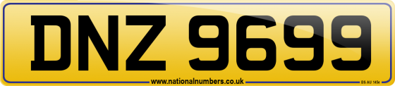 DNZ 9699