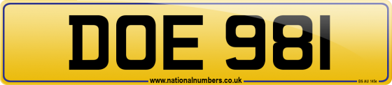 DOE 981