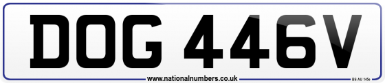 DOG 446V