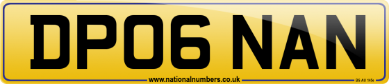 DP06 NAN