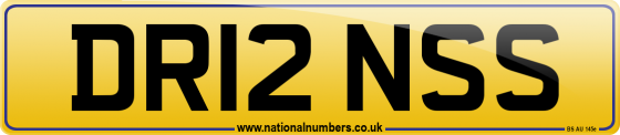 DR12 NSS