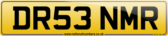 DR53 NMR