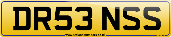 DR53 NSS