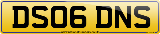 DS06 DNS