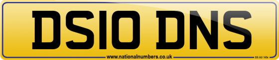 DS10 DNS
