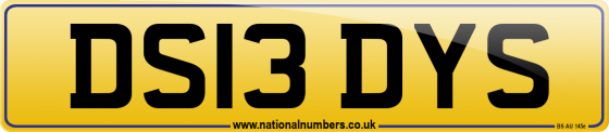 DS13 DYS