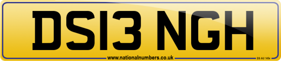 DS13 NGH