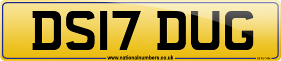 DS17 DUG