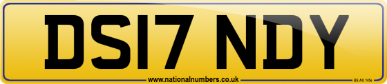 DS17 NDY