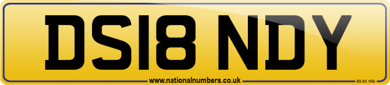 DS18 NDY