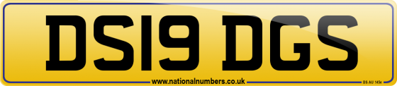 DS19 DGS