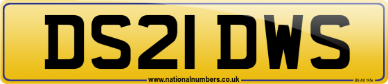 DS21 DWS