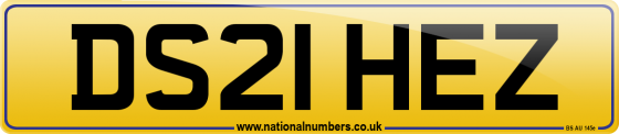 DS21 HEZ