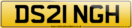 DS21 NGH