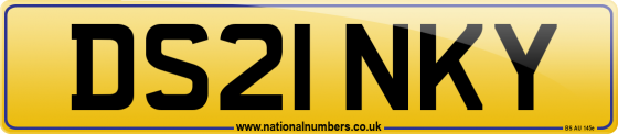 DS21 NKY